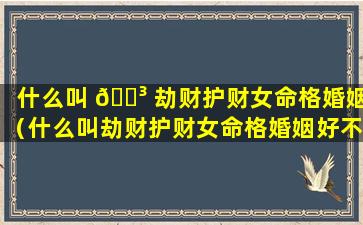 什么叫 🐳 劫财护财女命格婚姻（什么叫劫财护财女命格婚姻好不好）